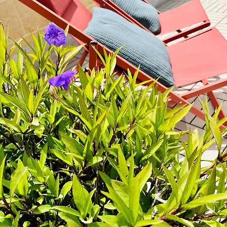 度假居 Little Blue House *