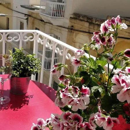 Little Blue House 马萨佛恩