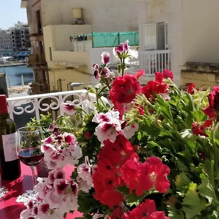 Little Blue House 马萨佛恩