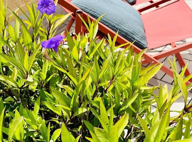 Ferienhaus Little Blue House *